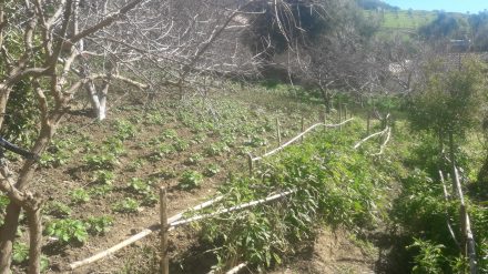 L’agroécologie :La ferme pilote de Sidi Serhane
