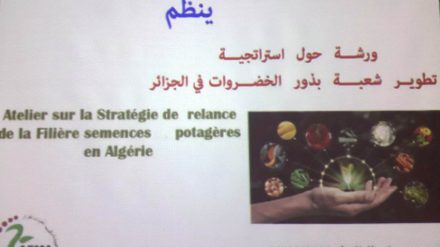 Atelier sur la stratégie des semences potagères locales en Algérie