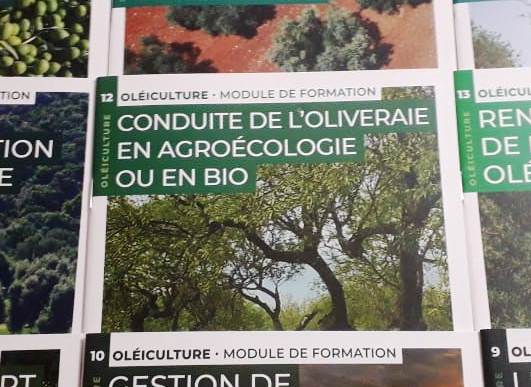 Référentiel sur la conduite de l’oliveraie en agroécologie, en Algérie